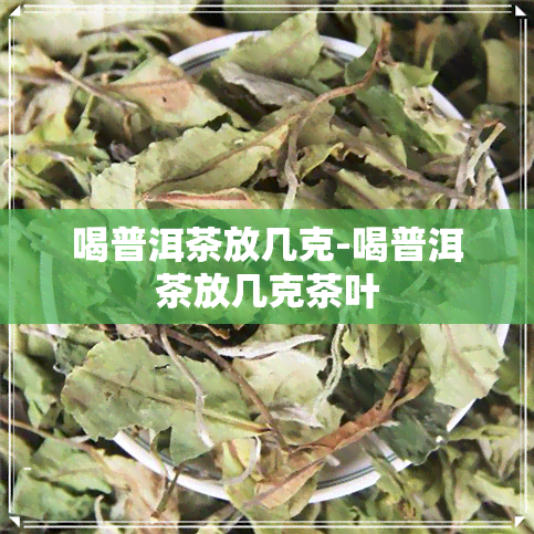 喝普洱茶放几克-喝普洱茶放几克茶叶