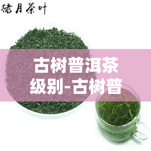 古树普洱茶级别-古树普洱茶级别怎么分