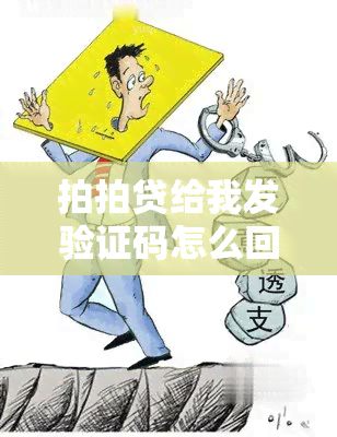 拍拍贷给我发验证码怎么回事，关于拍拍贷发送验证码的问题，你需要知道的一切！