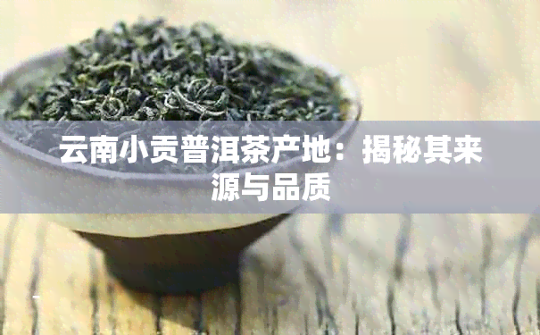 云南小贡普洱茶产地：揭秘其来源与品质