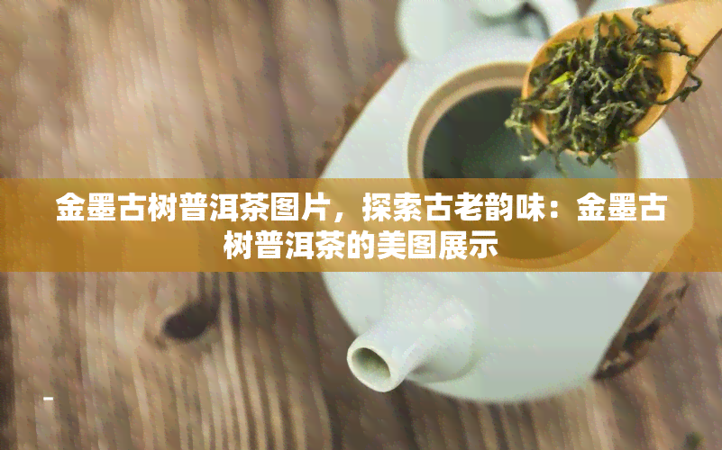 金墨古树普洱茶图片，探索古老韵味：金墨古树普洱茶的美图展示