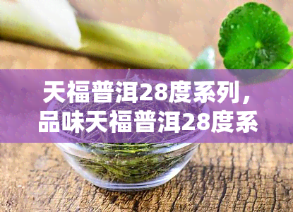 天福普洱28度系列，品味天福普洱28度系列，感受茶香与度的完美结合