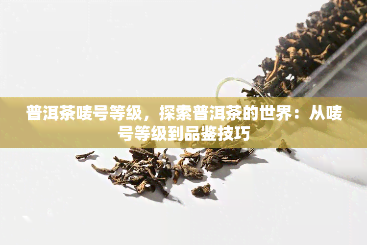 普洱茶唛号等级，探索普洱茶的世界：从唛号等级到品鉴技巧