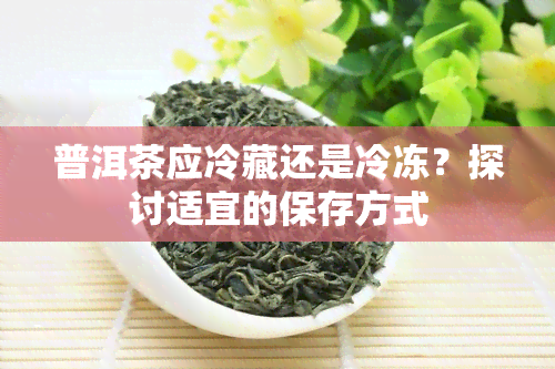 普洱茶应冷藏还是冷冻？探讨适宜的保存方式