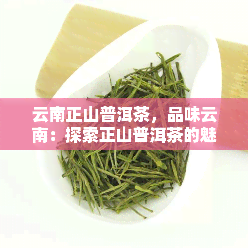 云南正山普洱茶，品味云南：探索正山普洱茶的魅力