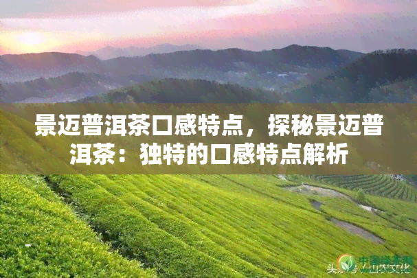 景迈普洱茶口感特点，探秘景迈普洱茶：独特的口感特点解析