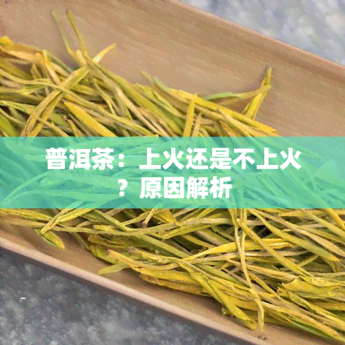 普洱茶：上火还是不上火？原因解析