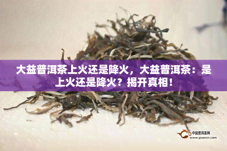 大益普洱茶上火还是降火，大益普洱茶：是上火还是降火？揭开真相！