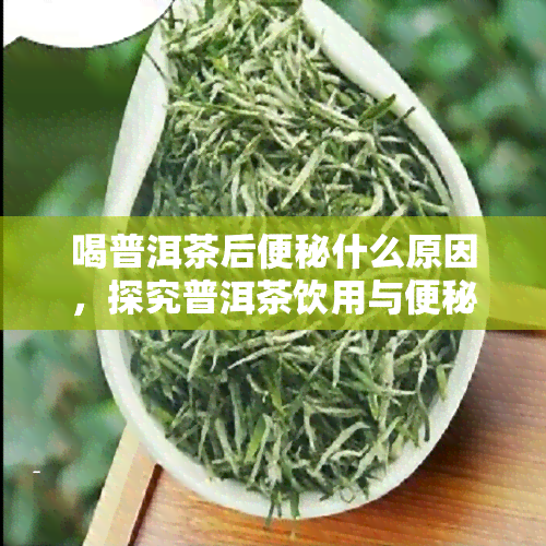 喝普洱茶后便秘什么原因，探究普洱茶饮用与便秘的关系：原因解析