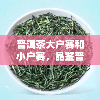 普洱茶大户赛和小户赛，品鉴普洱茶：大户赛与小户赛的口感对比