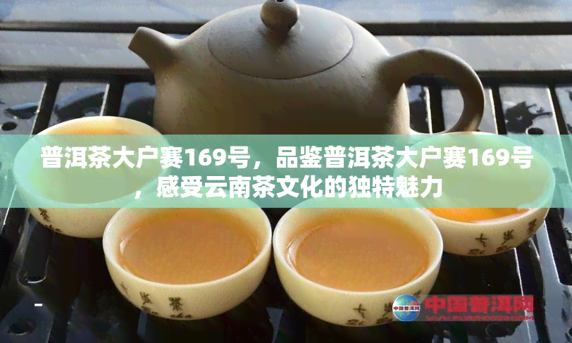 普洱茶大户赛169号，品鉴普洱茶大户赛169号，感受云南茶文化的独特魅力