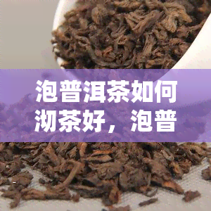 泡普洱茶如何沏茶好，泡普洱茶的正确方法：如何沏出一杯好茶？