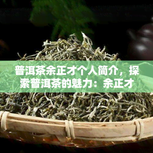 普洱茶余正才个人简介，探索普洱茶的魅力：余正才的个人简介与制茶技艺