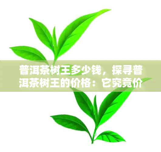 普洱茶树王多少钱，探寻普洱茶树王的价格：它究竟价值多少？