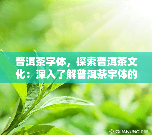 普洱茶字体，探索普洱茶文化：深入了解普洱茶字体的奥秘