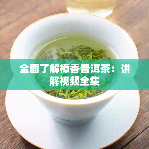 全面了解樟香普洱茶：讲解视频全集