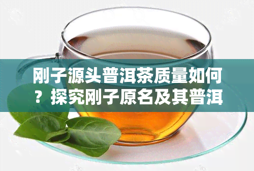 刚子源头普洱茶质量如何？探究刚子原名及其普洱茶口碑