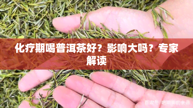 化疗期喝普洱茶好？影响大吗？专家解读