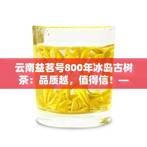 云南益茗号800年冰岛古树茶：品质越，值得信！——云南益茗号茶业推荐