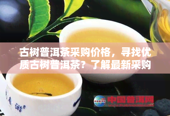 古树普洱茶采购价格，寻找优质古树普洱茶？了解最新采购价格！