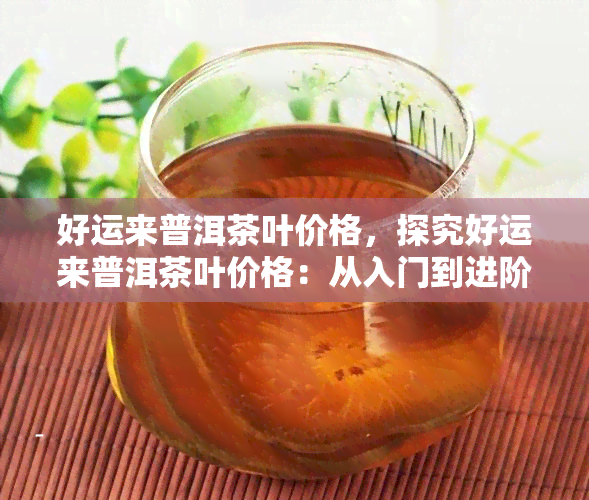 好运来普洱茶叶价格，探究好运来普洱茶叶价格：从入门到进阶的全面解析