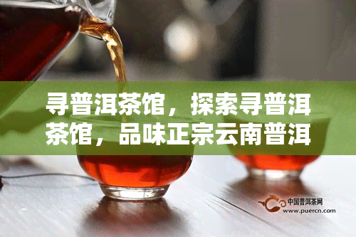 寻普洱茶馆，探索寻普洱茶馆，品味正宗云南普洱的魅力