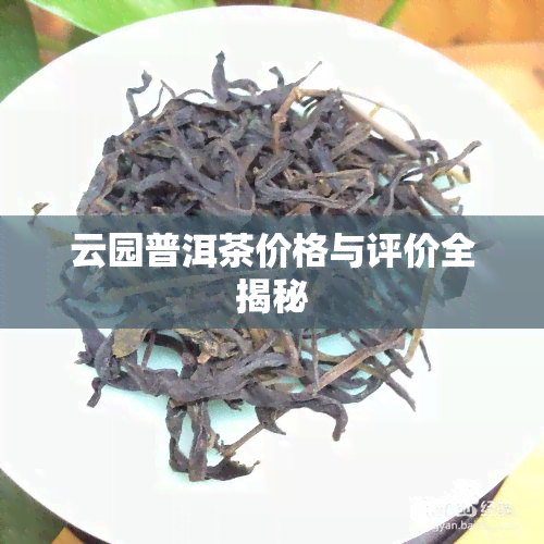 云园普洱茶价格与评价全揭秘