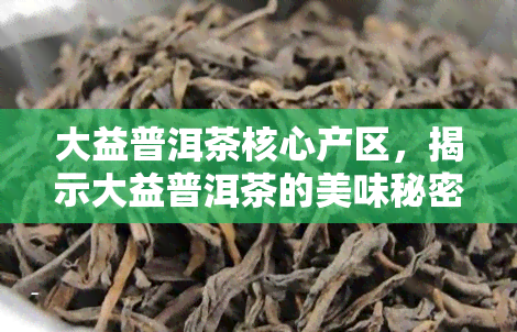 大益普洱茶核心产区，揭示大益普洱茶的美味秘密：探索核心产区的独特魅力