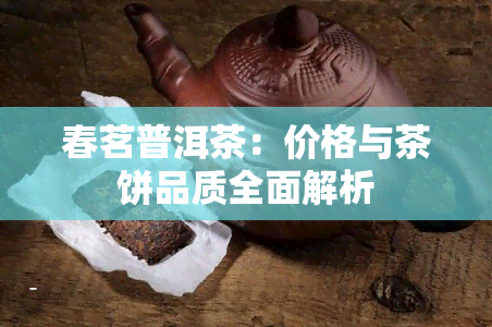 春茗普洱茶：价格与茶饼品质全面解析