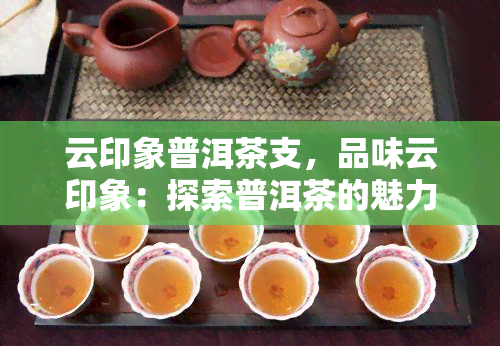 云印象普洱茶支，品味云印象：探索普洱茶的魅力世界