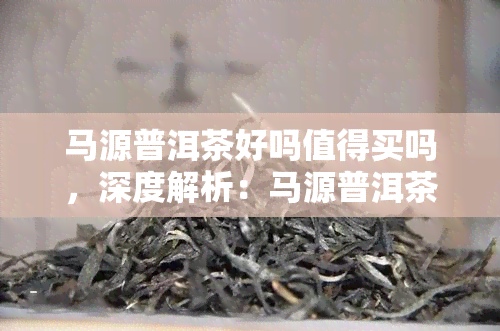 马源普洱茶好吗值得买吗，深度解析：马源普洱茶的品质与性价比，是否值得购买？