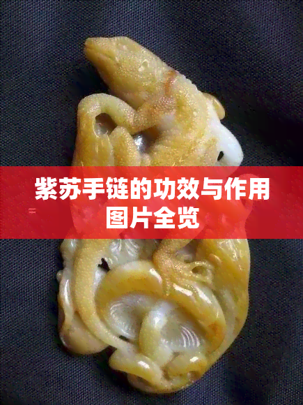 紫苏手链的功效与作用图片全览