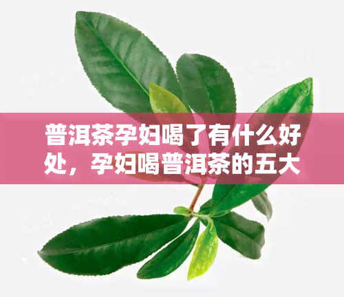 普洱茶孕妇喝了有什么好处，孕妇喝普洱茶的五大益处，了解一下！