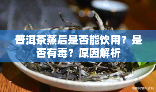 普洱茶蒸后是否能饮用？是否有？原因解析