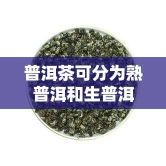 普洱茶可分为熟普洱和生普洱，探索普洱茶的两种类型：熟普洱和生普洱的区别与特点