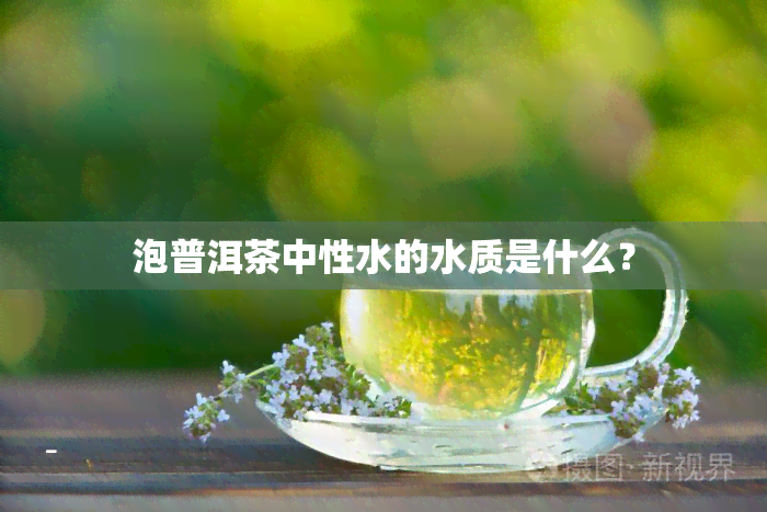 泡普洱茶中性水的水质是什么？