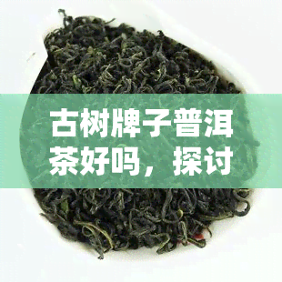 古树牌子普洱茶好吗，探讨古树普洱茶的品质：牌子是否真的重要？