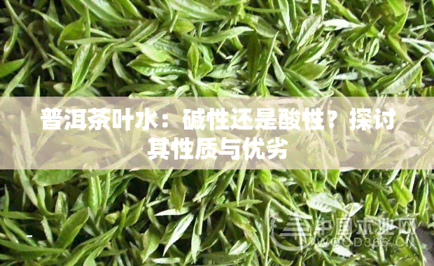 普洱茶叶水：碱性还是酸性？探讨其性质与优劣