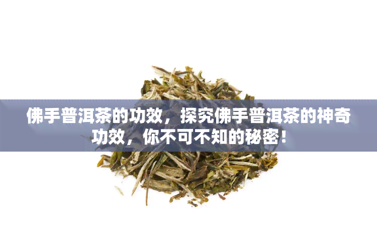 佛手普洱茶的功效，探究佛手普洱茶的神奇功效，你不可不知的秘密！