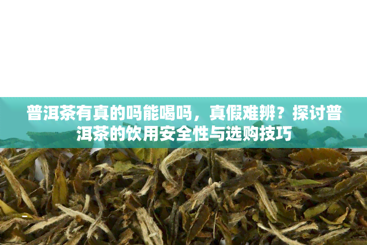 普洱茶有真的吗能喝吗，真假难辨？探讨普洱茶的饮用安全性与选购技巧