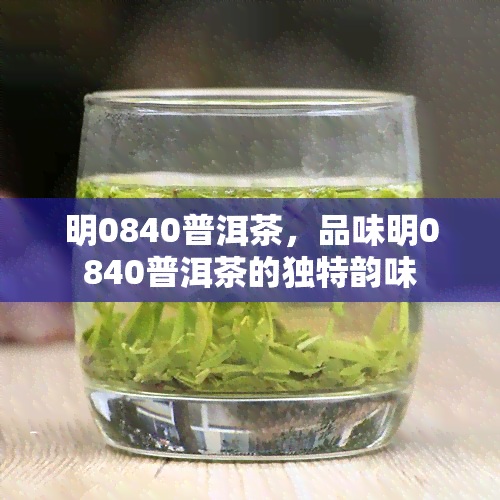 明0840普洱茶，品味明0840普洱茶的独特韵味