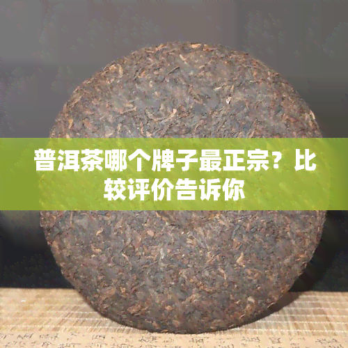 普洱茶哪个牌子最正宗？比较评价告诉你