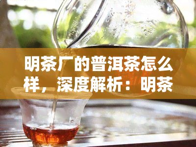 明茶厂的普洱茶怎么样，深度解析：明茶厂的普洱茶品质如何？