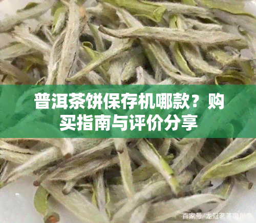 普洱茶饼保存机哪款？购买指南与评价分享