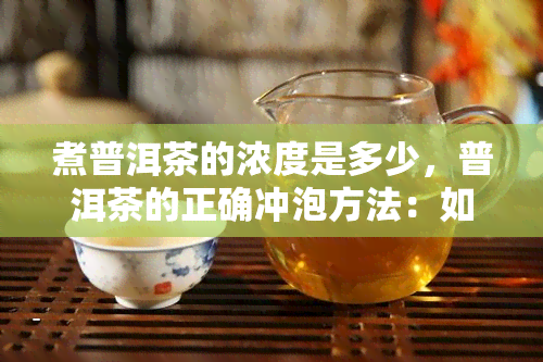 煮普洱茶的浓度是多少，普洱茶的正确冲泡方法：如何掌握浓度？