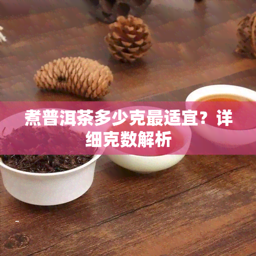 煮普洱茶多少克最适宜？详细克数解析