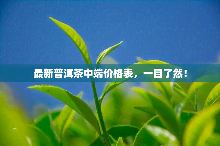 最新普洱茶中端价格表，一目了然！