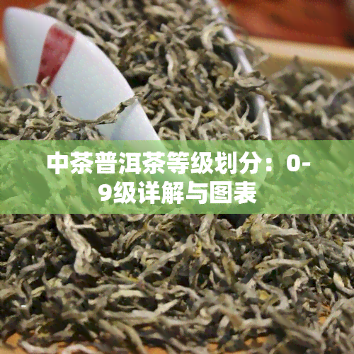 中茶普洱茶等级划分：0-9级详解与图表