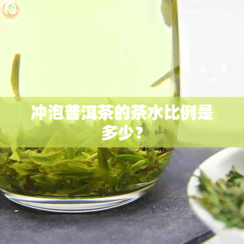 冲泡普洱茶的茶水比例是多少？