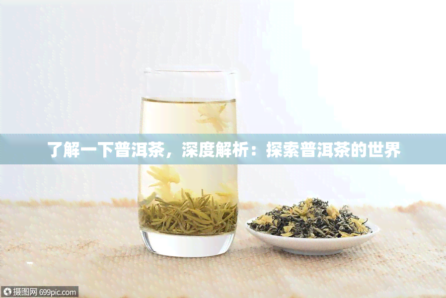 了解一下普洱茶，深度解析：探索普洱茶的世界